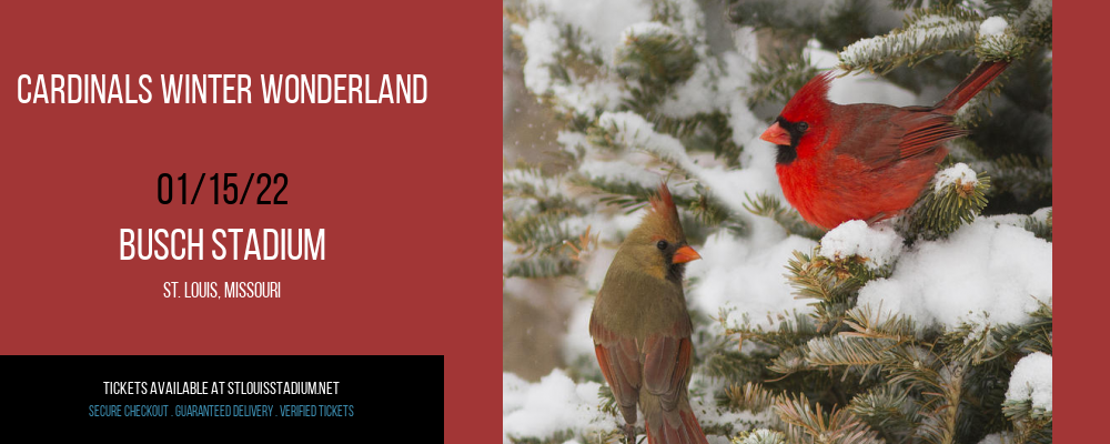 Cardinals Winter Wonderland at Busch Stadium